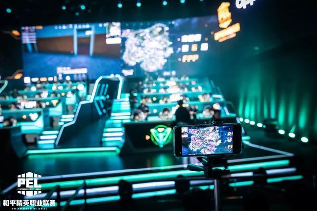 训练与SE 训练与SE